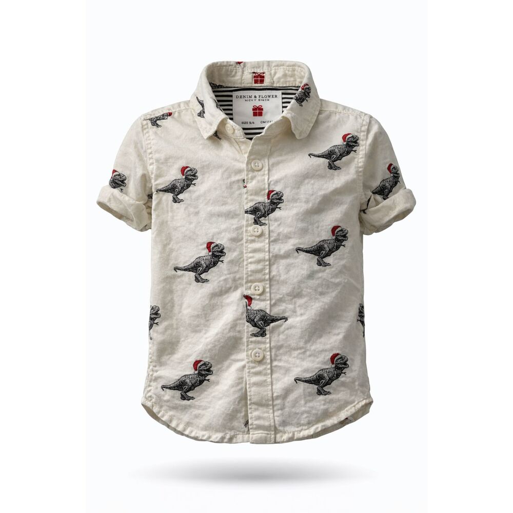 Denim & Flower Ricky Singh Boys 5/6 Dinosaur Shirt Santa Hat Button Up Holiday